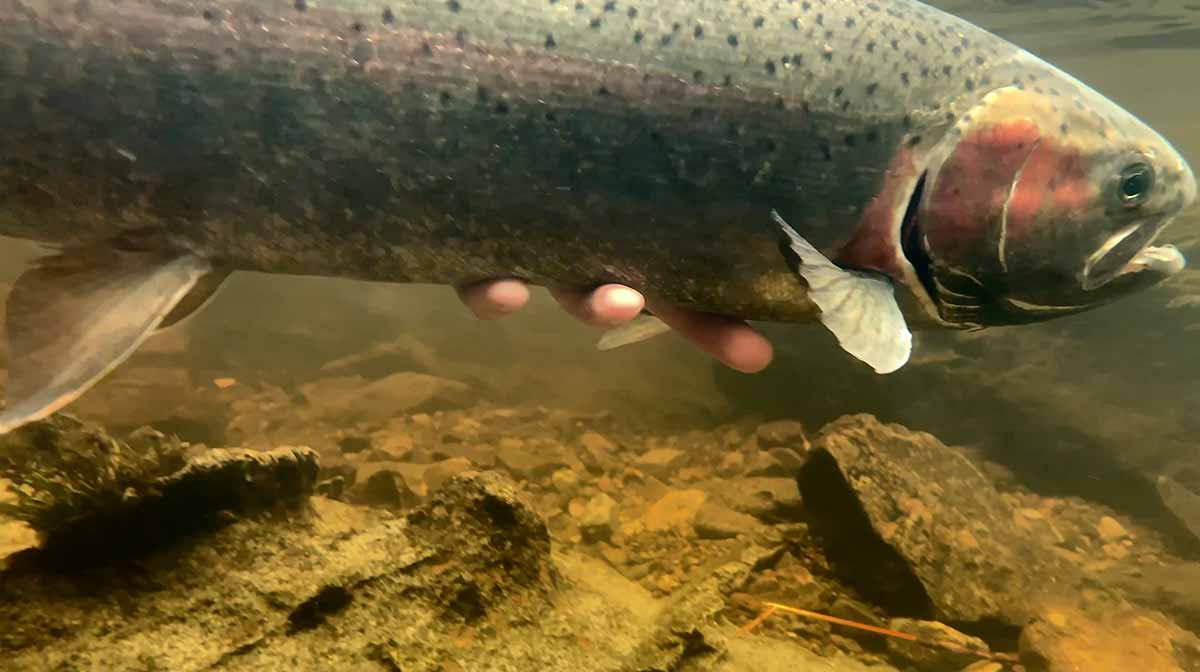 All Inclusive Alaska Fishing Lodge