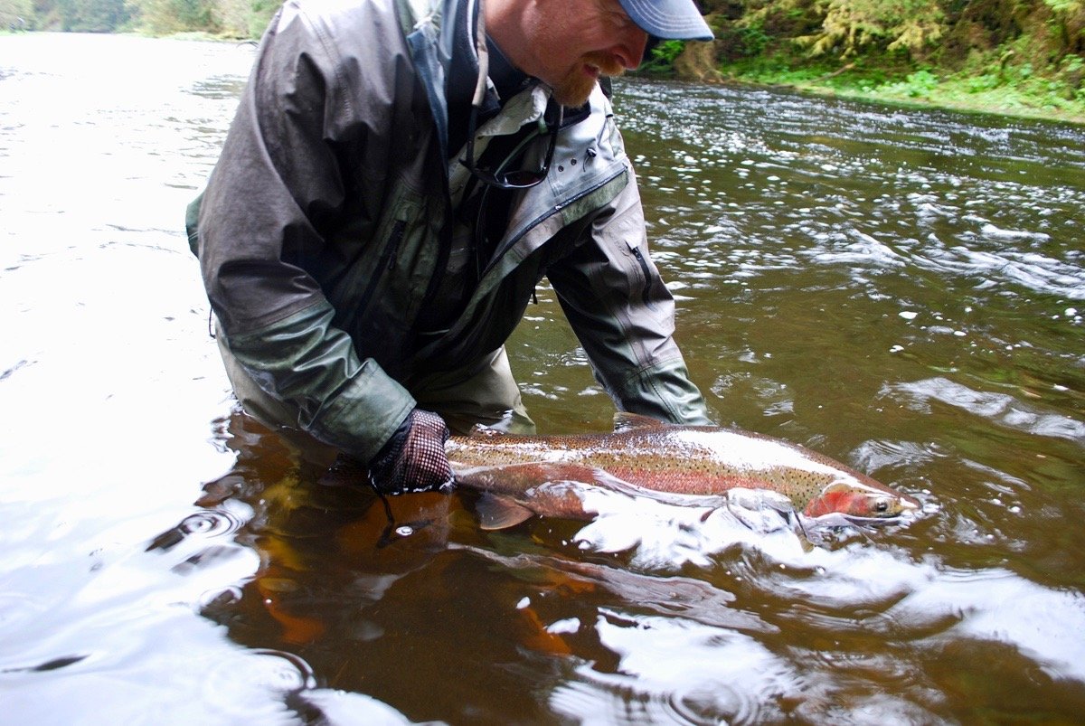 Orvis endorsed program manager, Tom Evenson, releases Steelhead at Alaska's Boardwalk Lodge