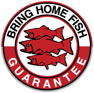 BWL HOMEPAGE_HEADER LOGO