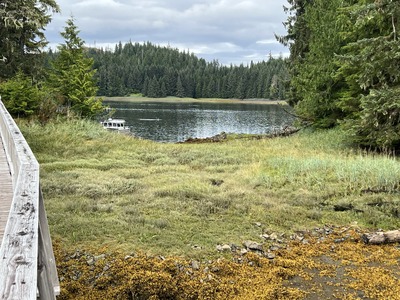 Camping in Alaska: Best Places to RV Camp Near Boardwalk Lodge