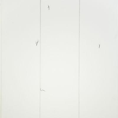 Primer White primary sample image