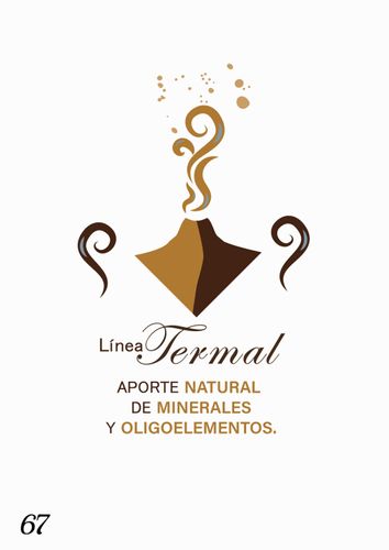 página número 67