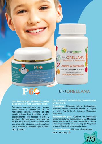 página número 113