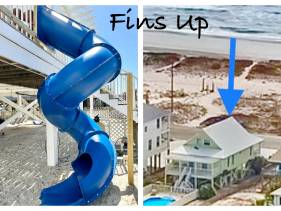 Fins Up