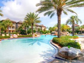 Day Dreamer: Pet Friendly!