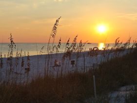Beach Retreat 103 Gulf Front Pet Friendly