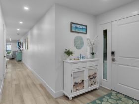 Sanddollar A301
