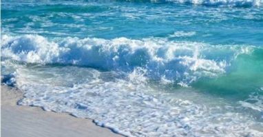 Beautiful White Pristine Sand and the Beautiful  Waters of the Gulf of Mexico