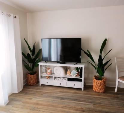 Living Room TV