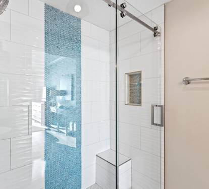 Master Bathroom Shower