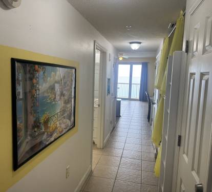 Photo #8