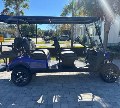 6 Person Golf Cart
