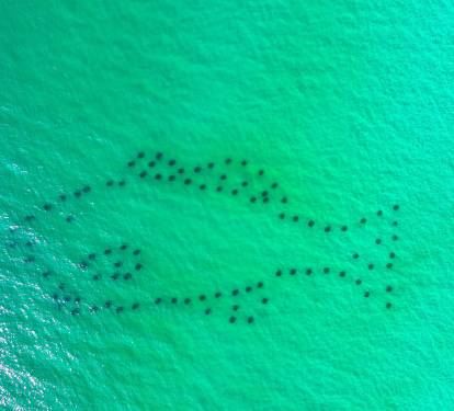 Manmade reefs for snorkeling at PCB