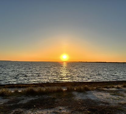 Photo #17