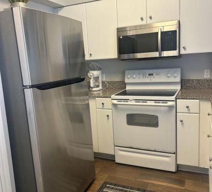 New stainless steel fridge and microwave!