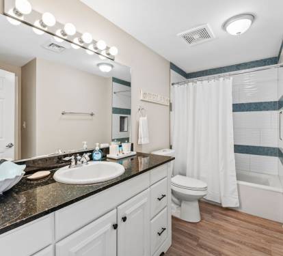 Hall Bathroom