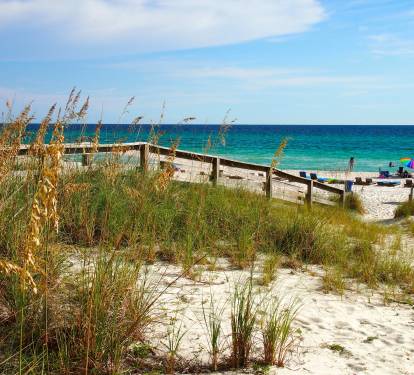 Photo #31