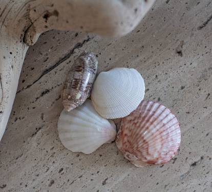 Photo #15