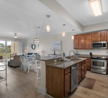 Kitchen and Living Area