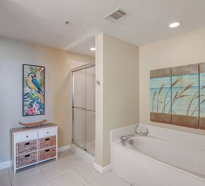 Shower and Garden Tub