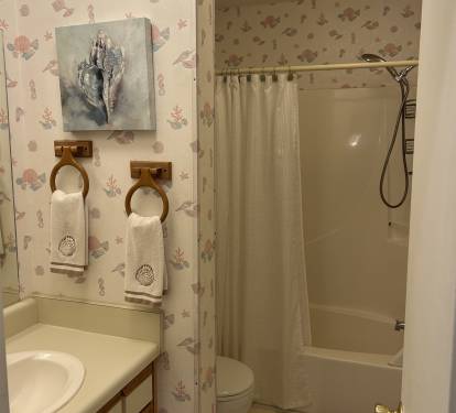 Upstairs Hall Shower