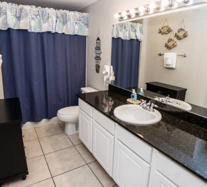 The Guest Bath Room
