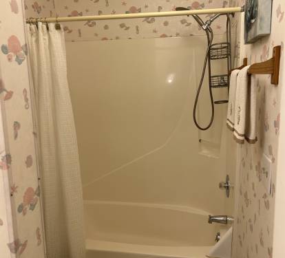 Upstairs Hall Shower
