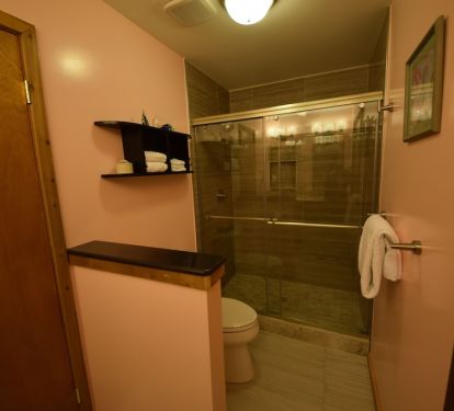 Newly renovated bathroom with walk in shower (Mast