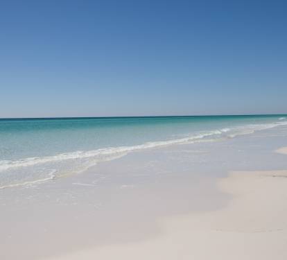 Photo #36