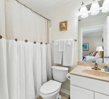 Guest Bathroom 1