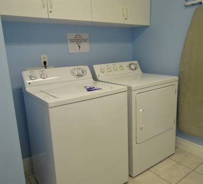 Photo #8
