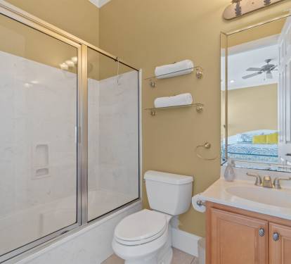 Guest Bathroom 1
