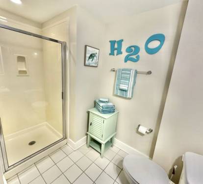 Guest Bath Shower