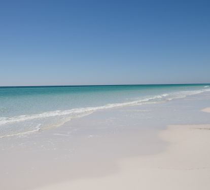 Photo #36