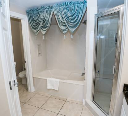 The Master Shower, Tub & separate potty room