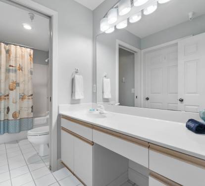 Guest Bathroom 2