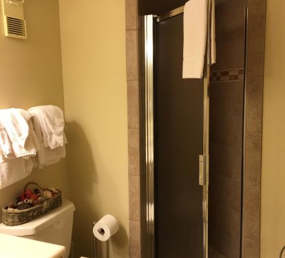 Guest Bath Walk In Shower