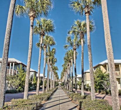 palm tree lined entrance, gated with a guard who greets you