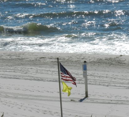 Photo #17