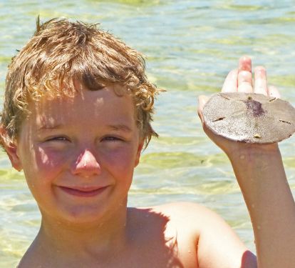 Lots of shells and scallops in the bay