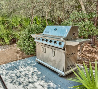 GAS GRILL