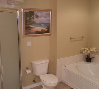Guest / Hall Bathroom
