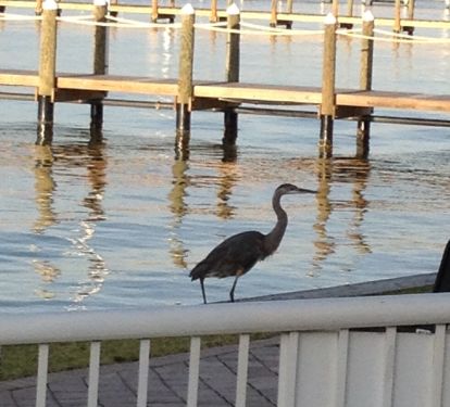 Walkway to the Marina