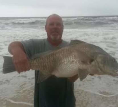 With a fishing license, this was caught directly in front of condo off the beach