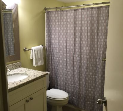 Guest Bath tub/shower combo
