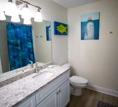 Master Bathroom with granite countertops - Tub/Shower combo