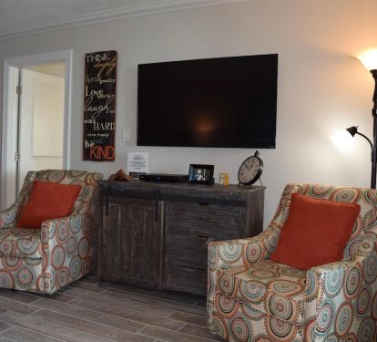 Living Room TV and Chairs