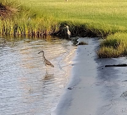Our Lagoon