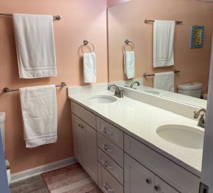 Guest Bath Vanity