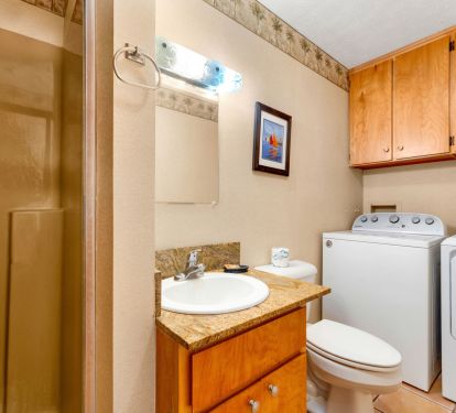 Bath with shower and laundry
